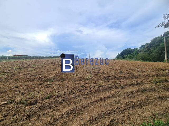 #766 - Sítio para Venda em Elias Fausto - SP - 2