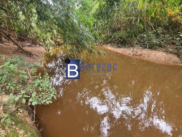 #766 - Sítio para Venda em Elias Fausto - SP - 3