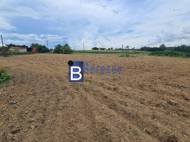 #766 - Sítio para Venda em Elias Fausto - SP - 1