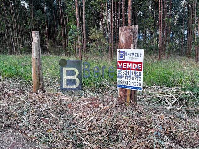 Sítio para Venda em Elias Fausto - 4
