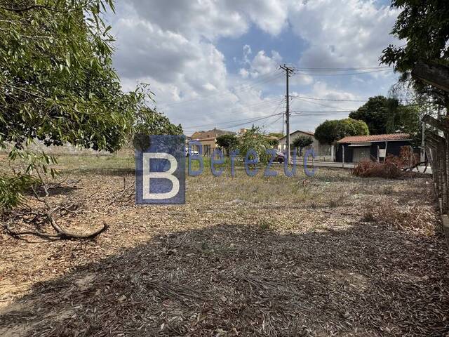 #823 - Terreno para Venda em Elias Fausto - SP - 3