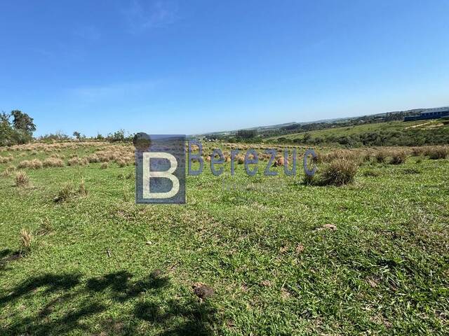 #818 - Sítio para Venda em Elias Fausto - SP - 3