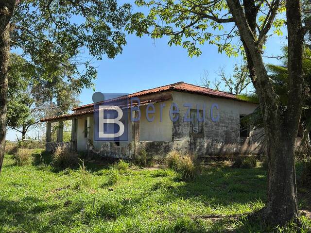 #818 - Sítio para Venda em Elias Fausto - SP - 2