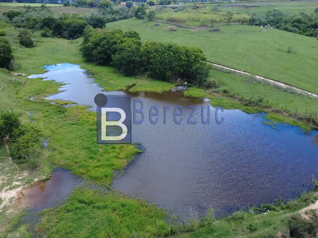 #818 - Sítio para Venda em Elias Fausto - SP - 2