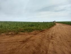 Sítio para Venda em Elias Fausto - 3